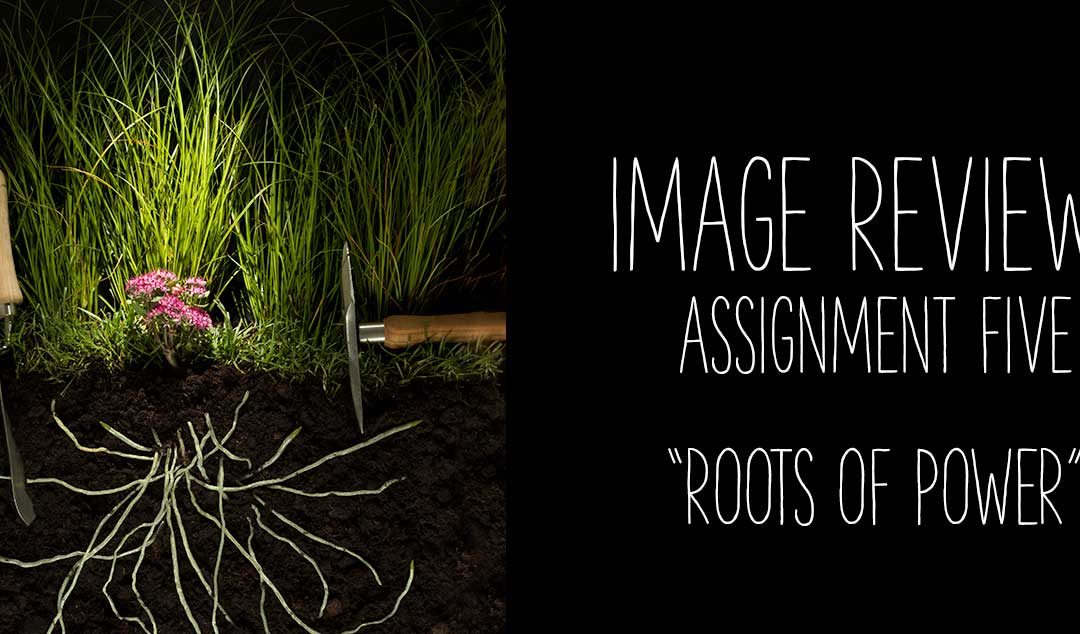 Image Reviews: 05, Assignment Five; Roots of Power