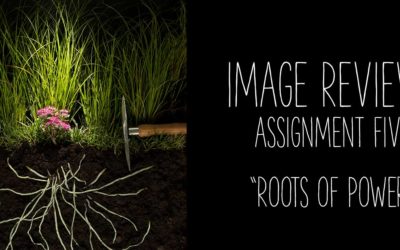 Image Reviews: 05, Assignment Five; Roots of Power