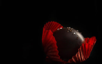 Image Critiques: 06, Week Six