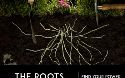 Image Review: Assignment Five: Roots of Power