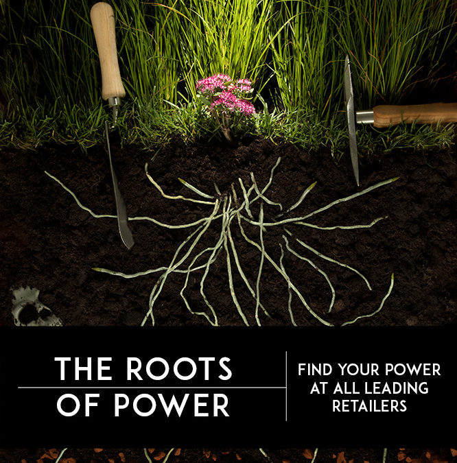 Image Review: Assignment Five: Roots of Power