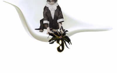 11: Image Review; Assignment Eleven