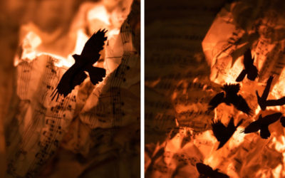 19: Image Review: Assignment Nineteen