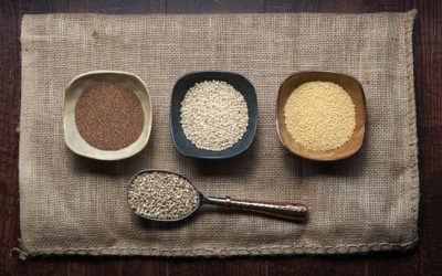 21: IMAGE CRITIQUE: ASSIGNMENT TWENTY ONE