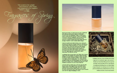 22: IMAGE CRITIQUE; Assignment Twenty Two