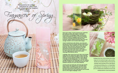 22: Image Reviews; Assignment Twenty Two