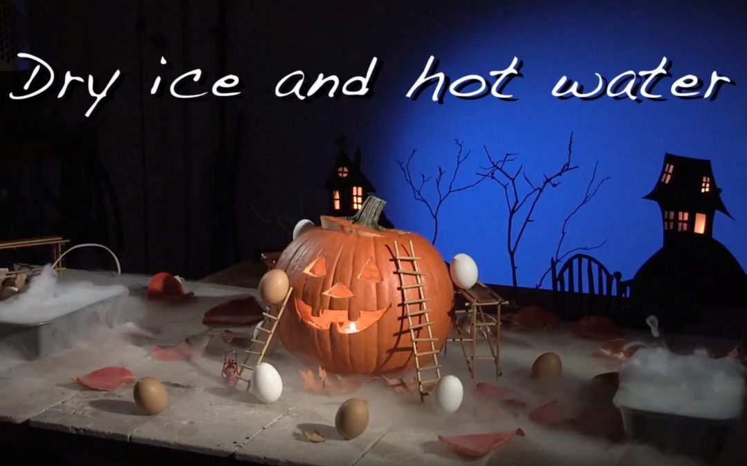 BUILD A SET FOR HALLOWEEN STILL LIFE