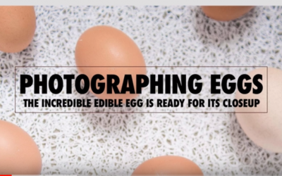 Photographing Eggs