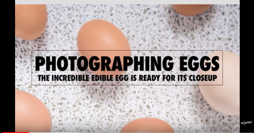 Photographing Eggs