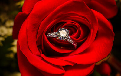 Protected: 2024 PHOENIX: ASSIGNMENT FORTY FIVE