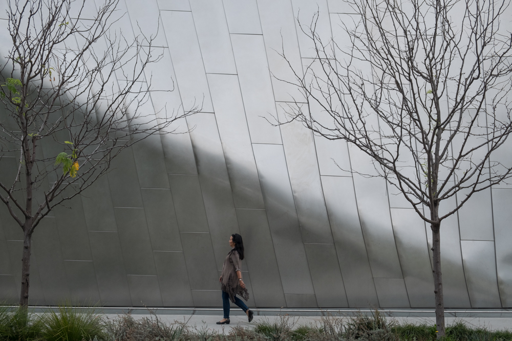 Protected: 2024 PHOENIX: ASSIGNMENT FORTY TWO