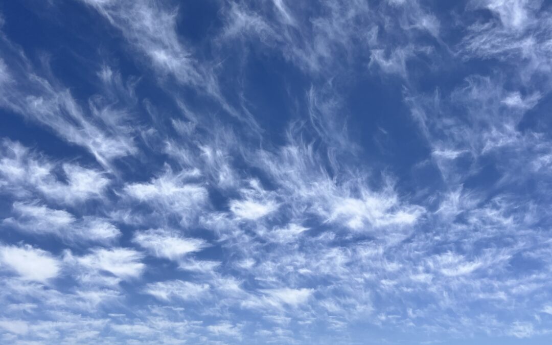 Protected: ASSIGNMENT FORTY SIX: OUR LAST FREE SHOOT