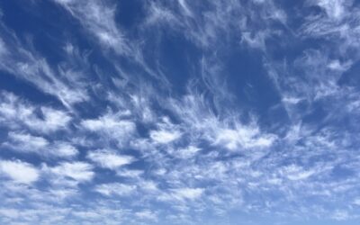 Protected: ASSIGNMENT FORTY SIX: OUR LAST FREE SHOOT