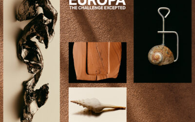 Protected: 2024 PHOENIX: ASSIGNMENT FIFTY