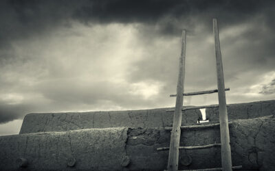 Protected: 2024 PHOENIX: ASSIGNMENT FIFTY TWO